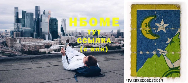 сатива Лабытнанги