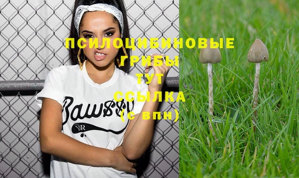 ALPHA PVP Лихославль