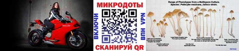 Галлюциногенные грибы Cubensis  Купить где  Сызрань 